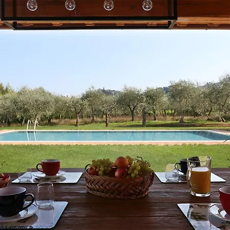 Il Grappolo By Salogi *